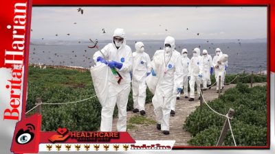 Flu H5N1 Wabah Bagi Pengguin Antartika